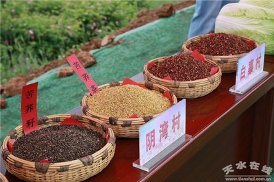 大門鎮:以“農”為媒 以“花”會友 為農特產品開銷路拓市場(圖)